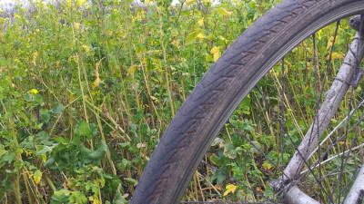 Von unplattbaren und pannensicheren Reifen